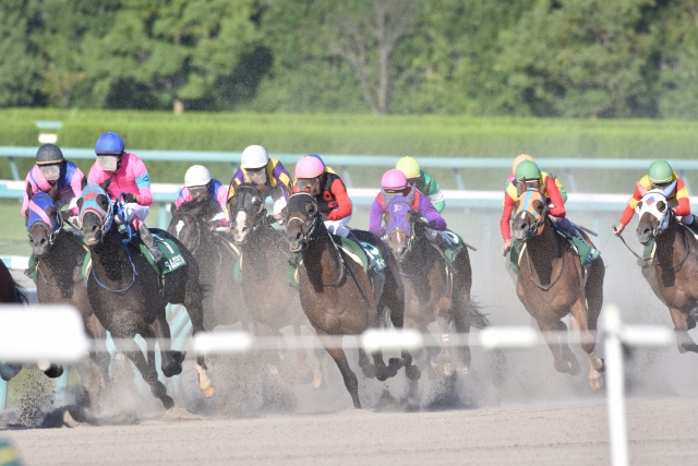 馬主ごとの競走馬成績ランキング 全10開催地別 計216馬主